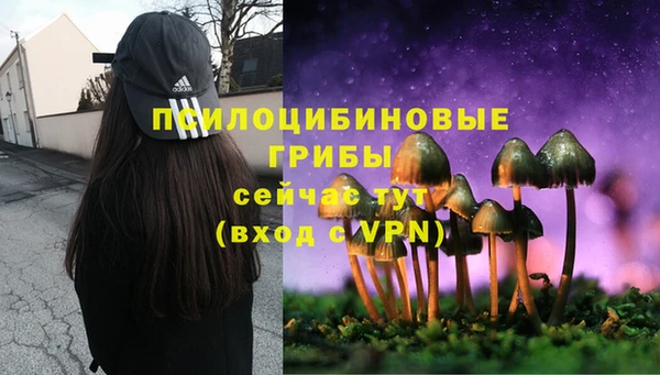 мет Алзамай