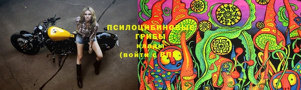 мет Алзамай