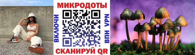 цена наркотик  Малаховка  Псилоцибиновые грибы мухоморы 